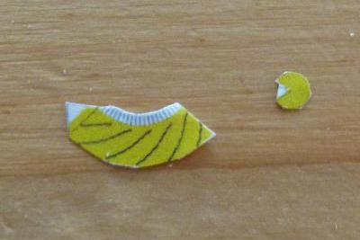 Toti paper model