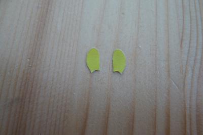 Toti paper model